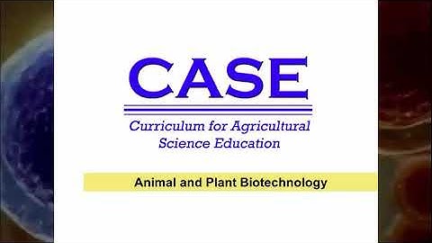 APB - Laboratory Notebooks