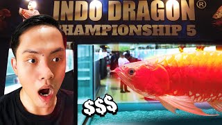 Meet the Winners of the Super Red Arowana Contest! (Indo Dragon Championship 2025)