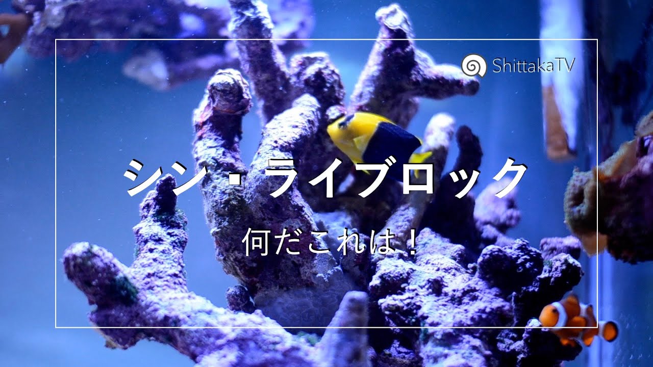 悪の要塞レイアウトできた！No.090