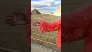 fashionable lady style trip around the pyramids #egypt #egyptian Content