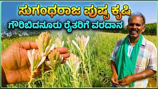 Sugandharaja pushpa Tuberose Farming details