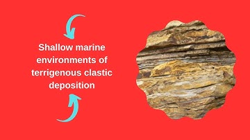 Shallow marine environments of terrigenous clastic deposition