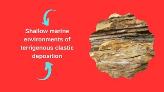 Shallow marine environments of terrigenous clastic deposition