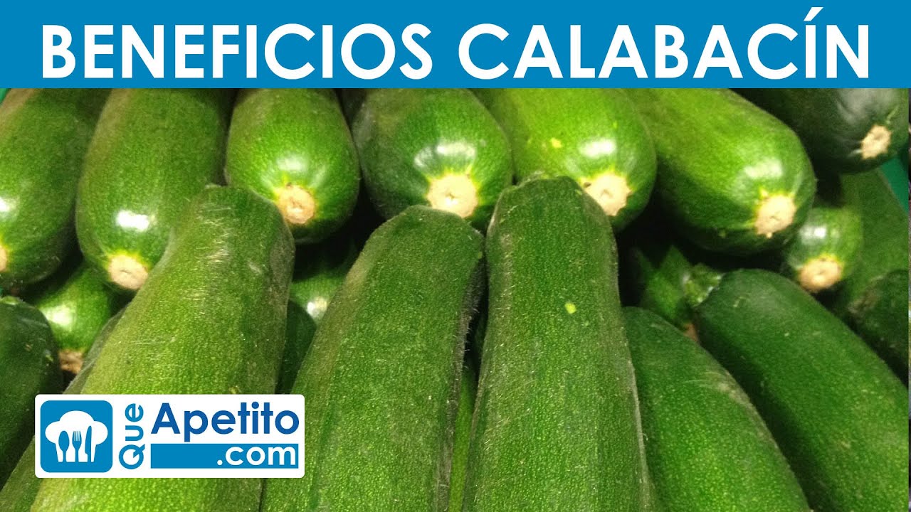 8 Propiedades y Beneficios del Calabacín | QueApetito