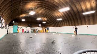 AKC Virtual Rally Advanced Course 2 - illi