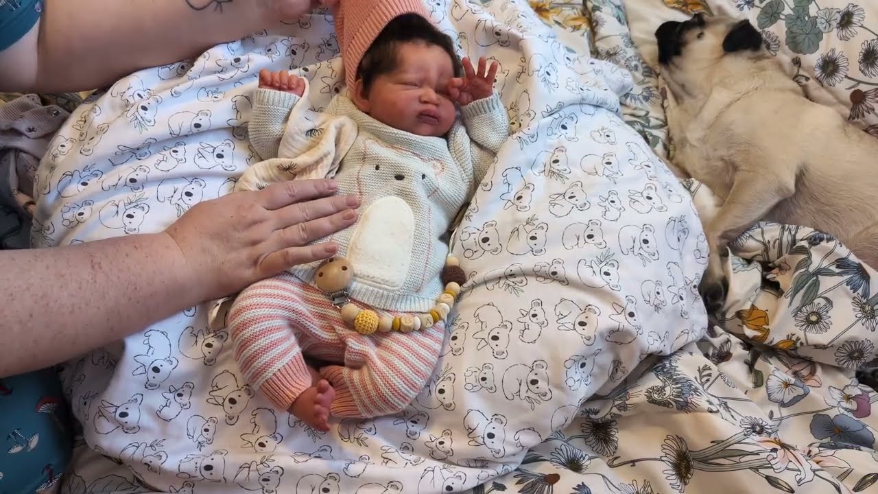 Мы это сделали! 5000 подписчиков!!