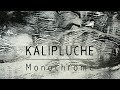 Kalipluche - Monochrome ♫ dark indie synthpop