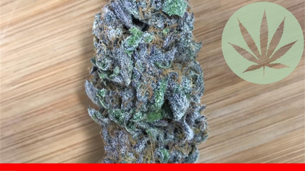 Blue Magoo - All About This Strain