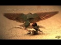 حسين الجسم والله مايسوى #s