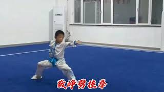#PiGuaQuan #CangzhouZhiHaiMartialArts #JingZhengClassmate