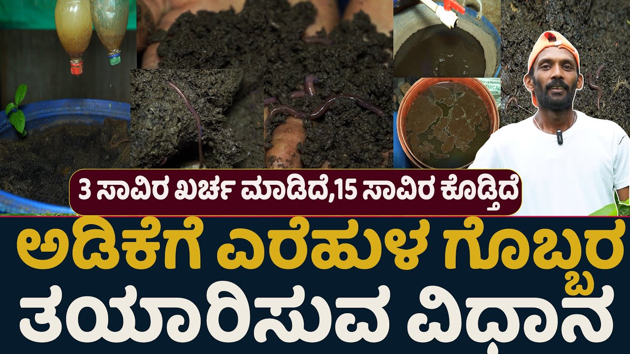 ಎರೆಹುಳ ಗೊಬ್ಬರ ಮತ್ತು ಎರೆಜಲ ತಯಾರಿಸುವ ವಿಧಾನ! ರೈತರು ಕೃಷಿ ಮಾಡೋದಷ್ಟೆ ಅಲ್ಲ, ಗೊಬ್ಬರ ತಯಾರಕರಾಗಬೇಕು?#earthwarm