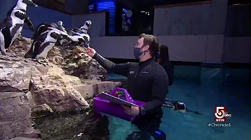 How much is the Boston aquarium with EBT card?