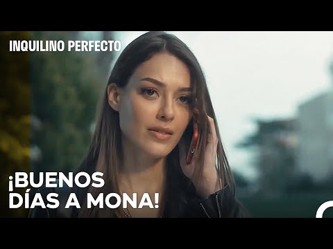 Caos, Confusión Y Ansiedad - Inquilino Perfecto Capítulo 1