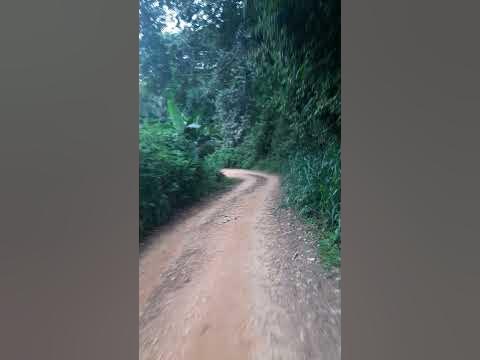 ouest Cameroun Tonga - YouTube