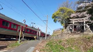 JR伯備線　やくも　桜