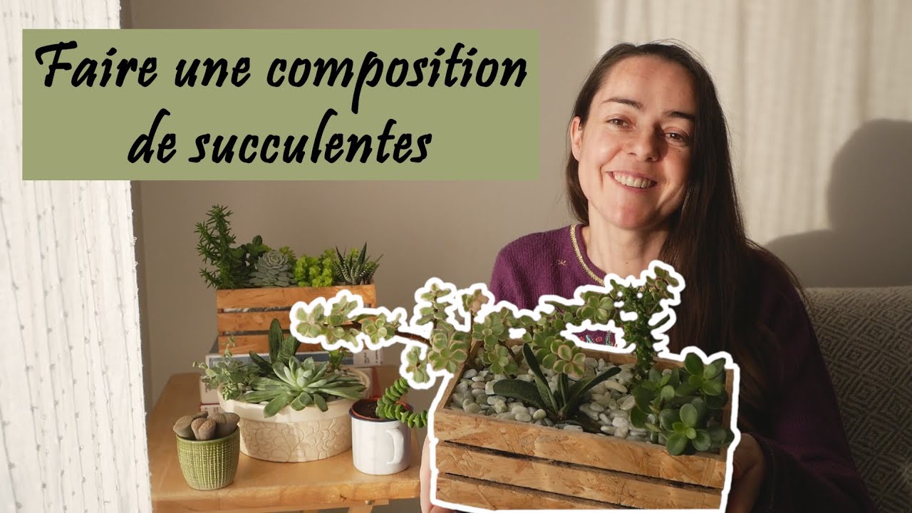 DIY Composition de Plantes Grasses