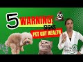 Five warning signs of pet gut health issues  holistic vet advice