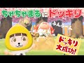あつ森アニメ ちゃちゃまるにドッキリしかけたら ドッキリ返された ちにゃちゃちゃYouTube あつ森アニメ ちゃちゃまるにドッキリしかけたら ドッキリ返された ちにゃちゃちゃYouTube
