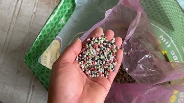 Dùng phân NPK LOẠI NÀO để bón lót, bón thúc cho khoai mì đạt năng suất cao nhất giúp bà conbội thu🤑