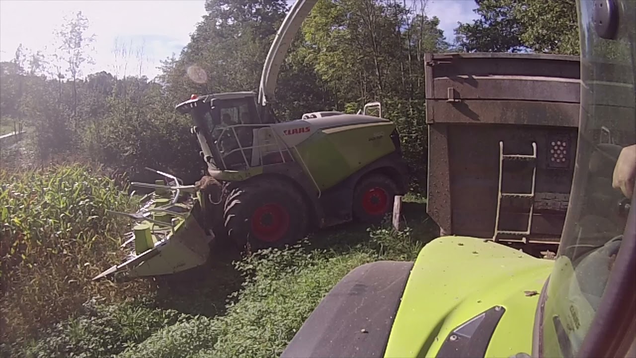 Ensilage Maïs 2021 | Claas Arion 410 & benne Espace Emeraude | Claas Jaguar 950 (Détourage)