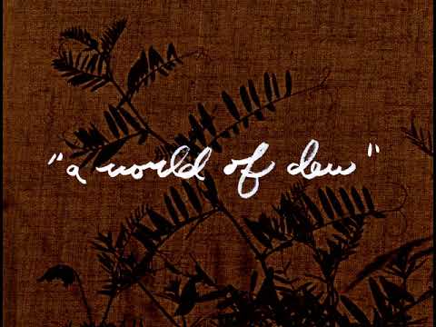 A World of Dew (16mm, trailer)