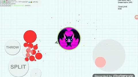 BLOB.IO 2v2