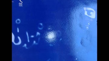 C CAT TRANCE - Shake The Mind