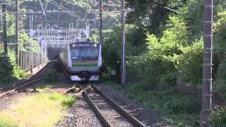 東海道線 E233系 国府津車 （E-51編成+E-01編成）