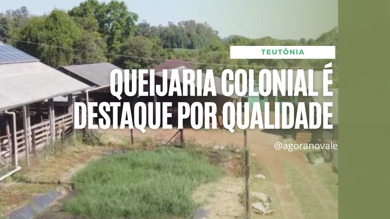 Queijaria colonial de Teutônia é destaque por qualidade e produção familiar