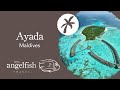 Ayada maldives  quality resort with beautiful reef