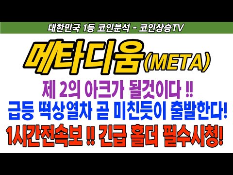   메타디움 메타디움코인 메타디움코인전망 META 코인전망 비트코인 이더리움 도지코인