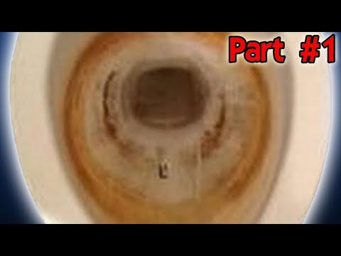 How To Get Rid of Toilet Stains | How to Use Muriatic Acid to Clean Toilet Bowl