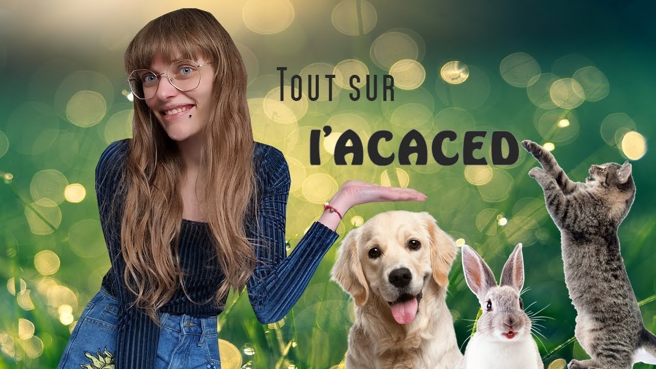 L'ACACED facile à obtenir ?