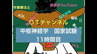 中枢神経学（国家試験/共通）　11時間目「作業療法士（OT）の為の国家試験対策」