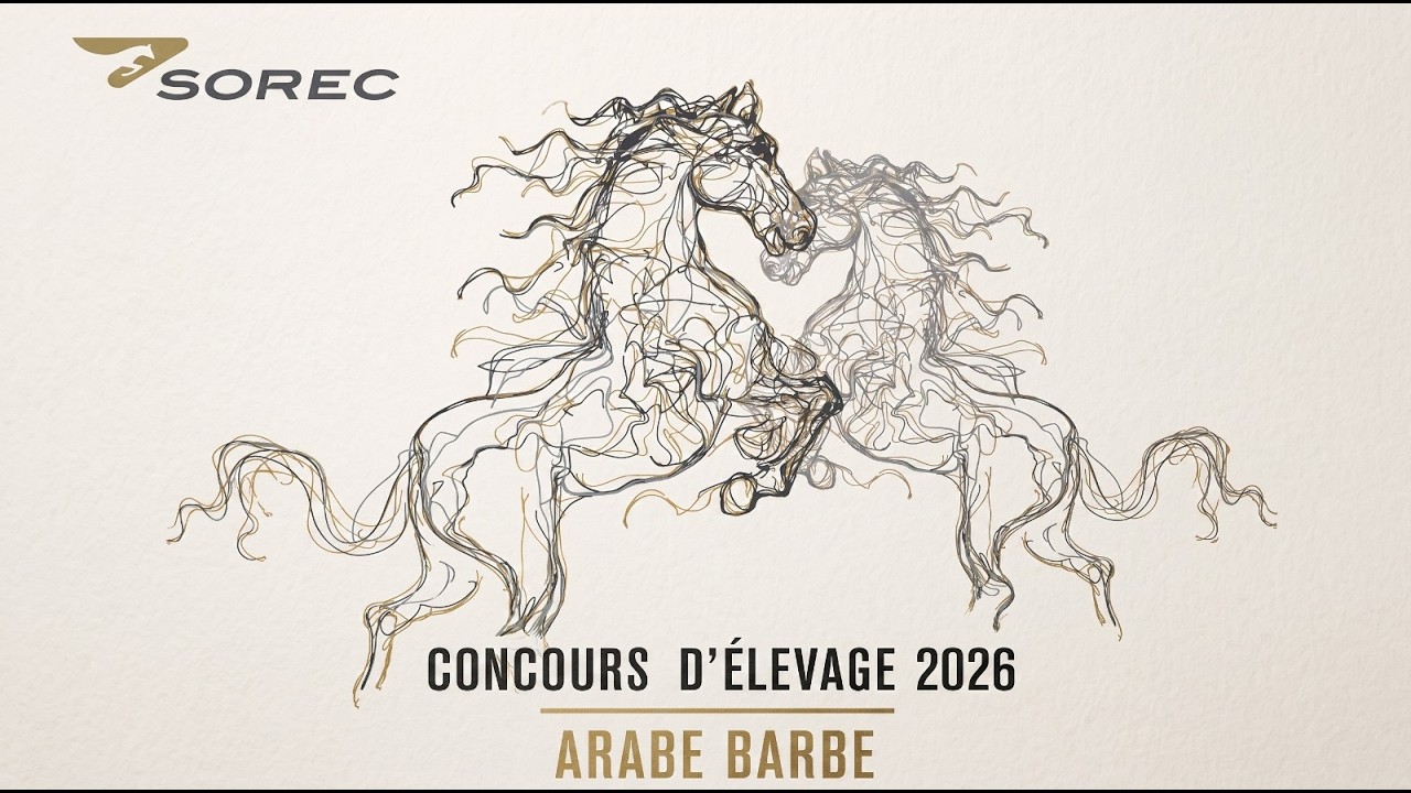 CONCOURS D'ELEVAGE DES CHEVAUX ARABE-BARBE 2026.