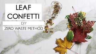DIY | Leaf Confetti (The Best Tips &amp; Eco-Friendly Alternative)