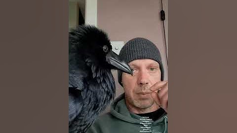 My first attempt at a docu/film.   Music by : Vadym Kuznietsov, Raven & Johnny Flynn, Detectorists.