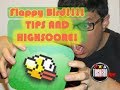 Flappy Bird Gameplay 9 tips for success and HIGH SCORE Flappy Bird Gameplay 9 tips for success and HIGH SCORE