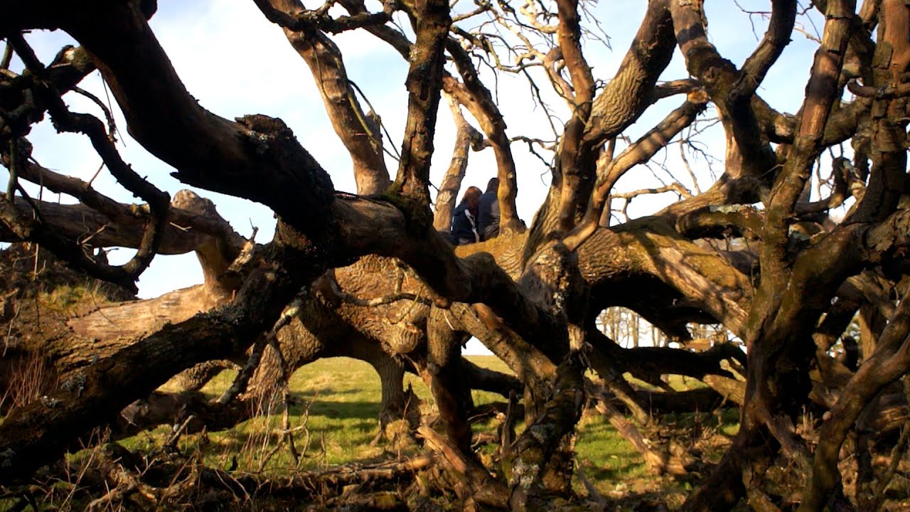 Fate - St. Ringo's - YouTube