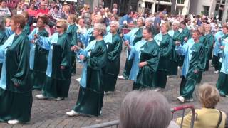 Hanswijkprocessie 21 Mei 2017 Zingende Engelen, Rijdende Beiaard Mariabeeld