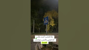 تلاوة هادئة مليئة بالطمأنينة // القارئ إسلام صبحي // حالات واتس اب دينية // ستوريات أنستا قصيرة