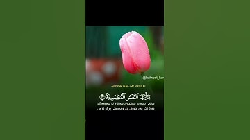 يقول ياليتني قدمت لحياتي-تلاوة مؤثرة