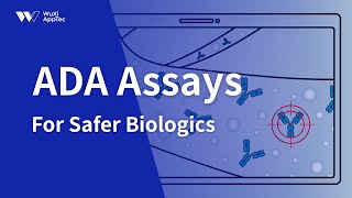 Unveiling Immunogenicity Precision Anti-Drug Antibody Ada Ays Empower Safer Biologic Drug R&D
