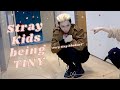 Stray Kids being TINY pt. 4