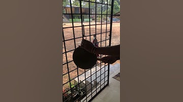 School bell real sound #school #schoolbell #youtube_shorts #shortfeed #viralvideo