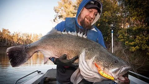 Murray cod stories with Ray Clifford