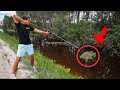 BOW FISHING INVASIVE FISH to FEED My PETS!!