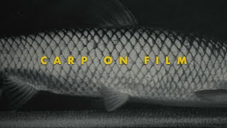 A Treatise On Carp And Film Emulation | URBAN CARP FLY FISHING ARIZONA | Dehancer Film Emulation