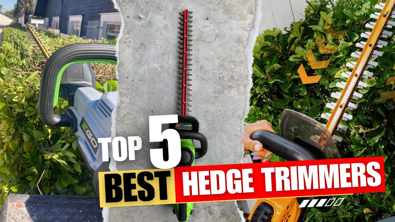 Best Hedge Trimmers (Top 5 Picks) | 2024 - YouTube