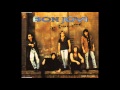 Bon Jovi - In These Arms (karaoke)